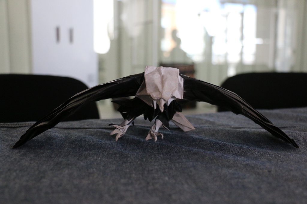 Origami radionica tijekom TSWF privukla je veliku pozornost mladih Origami radionica tijekom TSWF privukla je veliku pozornost mladih