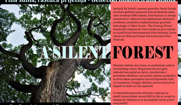 Ekologija u sridu: Tiha šuma