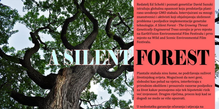 Ekologija u sridu: Tiha šuma