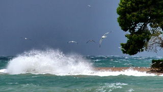 Olujno jugo u Zadru, nedjelja 6. prosinca 2020. godine