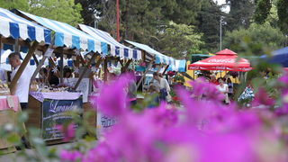 Sveti Filip i Jakov: 11. Dani cvijeca Zadarske zupanije, Foto: Martin Brkljaca Sveti Filip i Jakov: 11. Dani cvijeca Zadarske zupanije, Foto: Martin Brkljaca