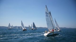 Image 988979 (auto) Image 988979 (auto)