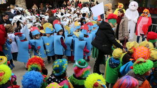 Virski karnevalić 2016. Virski karnevalić 2016.