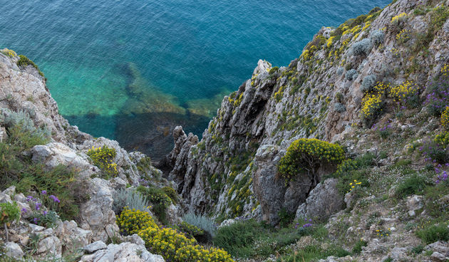 Palagruža, foto: Vinko Pešić