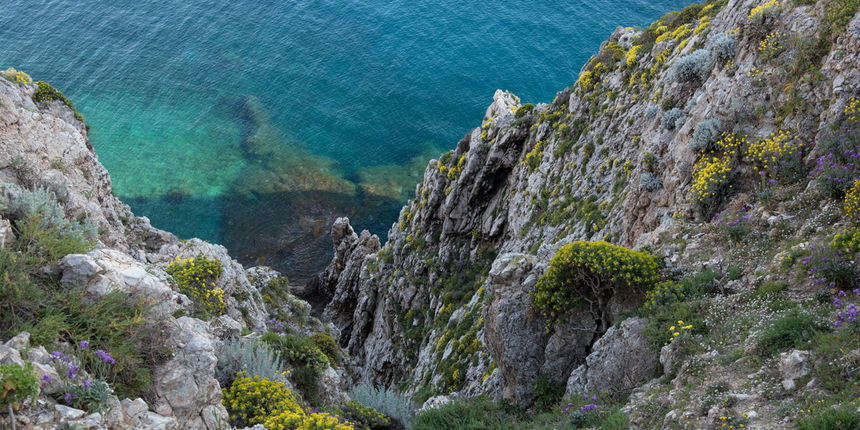 Palagruža, foto: Vinko Pešić