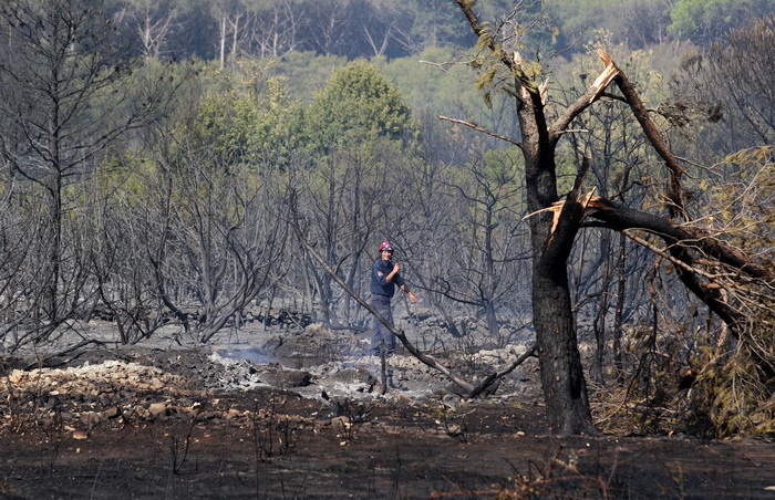 Zadar, Babindub, 230812.
Pozar u mjestu Babindub, kraj Zadra, u blizini aerodroma. Pozar je izbio medju kucama, na rubu borove sume kod vojnog aerodroma. Dio terena je miniran pa su u gasenju sudjelovali i kanaderi.
Foto: Jure Miskovic / CROPIX