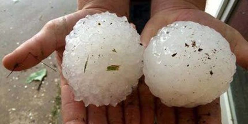 Tuča veličibe jabune u mjestu Recoaro Terme u pokrajini Veneto u Italiji