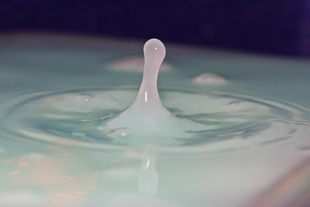 Čudesne kapi, foto: Leo Banić