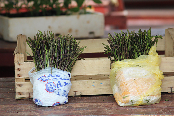 Đir po pijaci, 17. travnja 2012. (foto:Saša Čuka)