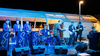 The Swingers @ Petrčko lito 2024.