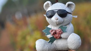 Zadar, 021111
Uz cestu koja vodi od Zadra prema Razancu moze se vidjeti jedan od sigurno najneobicnijih vinograda na svijetu. Umjesto uobicajenih strasila, vinograd cuvaju ogromni plisani medvjedi , lutke, barbike i raznorazne druge igracke i predmeti.
Fo Zadar, 021111
Uz cestu koja vodi od Zadra prema Razancu moze se vidjeti jedan od sigurno najneobicnijih vinograda na svijetu. Umjesto uobicajenih strasila, vinograd cuvaju ogromni plisani medvjedi , lutke, barbike i raznorazne druge igracke i predmeti.
Fo