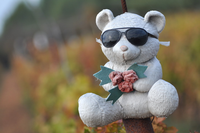 Zadar, 021111
Uz cestu koja vodi od Zadra prema Razancu moze se vidjeti jedan od sigurno najneobicnijih vinograda na svijetu. Umjesto uobicajenih strasila, vinograd cuvaju ogromni plisani medvjedi , lutke, barbike i raznorazne druge igracke i predmeti.
Fo Zadar, 021111
Uz cestu koja vodi od Zadra prema Razancu moze se vidjeti jedan od sigurno najneobicnijih vinograda na svijetu. Umjesto uobicajenih strasila, vinograd cuvaju ogromni plisani medvjedi , lutke, barbike i raznorazne druge igracke i predmeti.
Fo