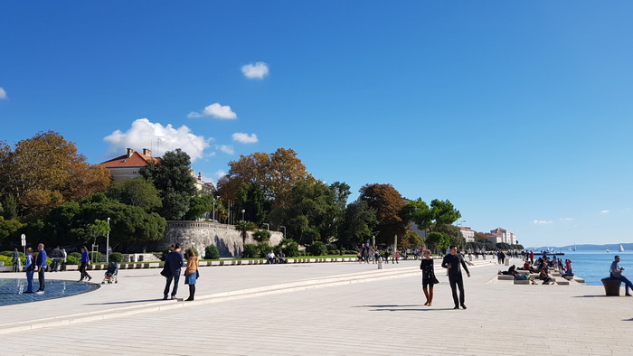 Zadarska Koka 2016. 22. listopada 2016. Foto: Mladen Malik Zadarska Koka 2016. 22. listopada 2016. Foto: Mladen Malik