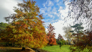 Jesenski đir po gradu, 15. studenog 2014. , foto: Marin Pitton Jesenski đir po gradu, 15. studenog 2014. , foto: Marin Pitton