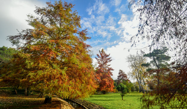 Jesenski đir po gradu, 15. studenog 2014. , foto: Marin Pitton