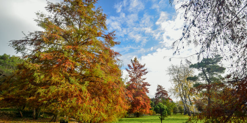 Jesenski đir po gradu, 15. studenog 2014. , foto: Marin Pitton