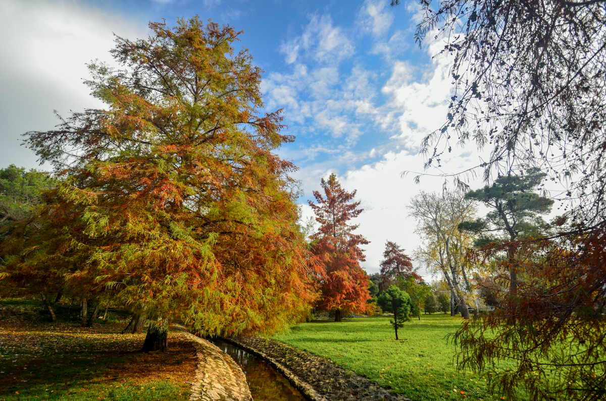 Jesenski đir po gradu, 15. studenog 2014. , foto: Marin Pitton Jesenski đir po gradu, 15. studenog 2014. , foto: Marin Pitton