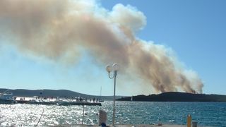 Image 1177191 (auto)