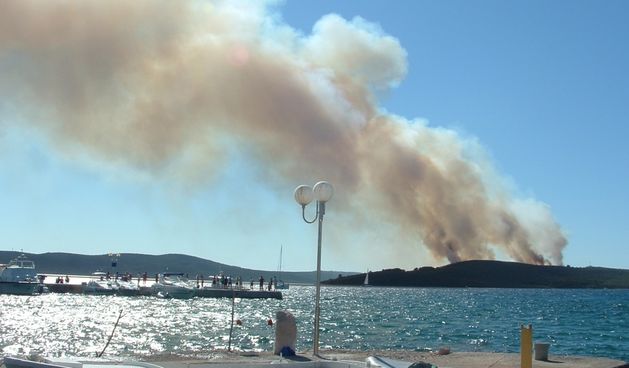 Image 1177191 (auto)