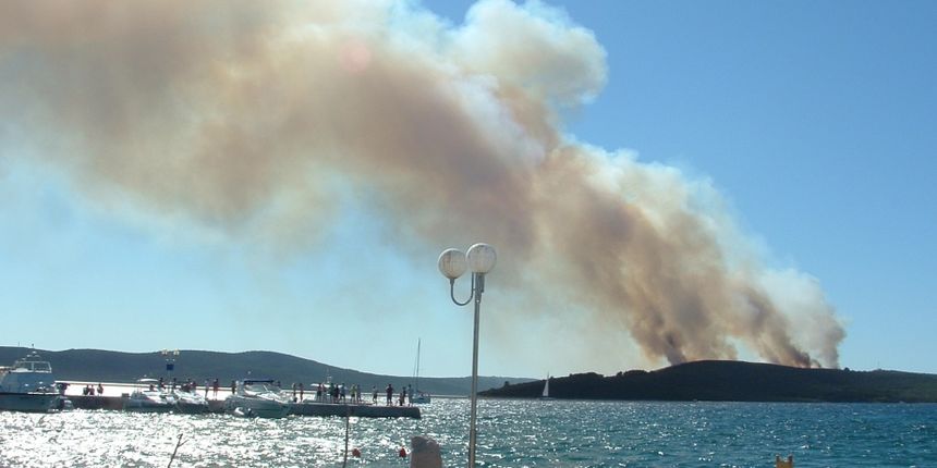 Image 1177191 (auto) Image 1177191 (auto)