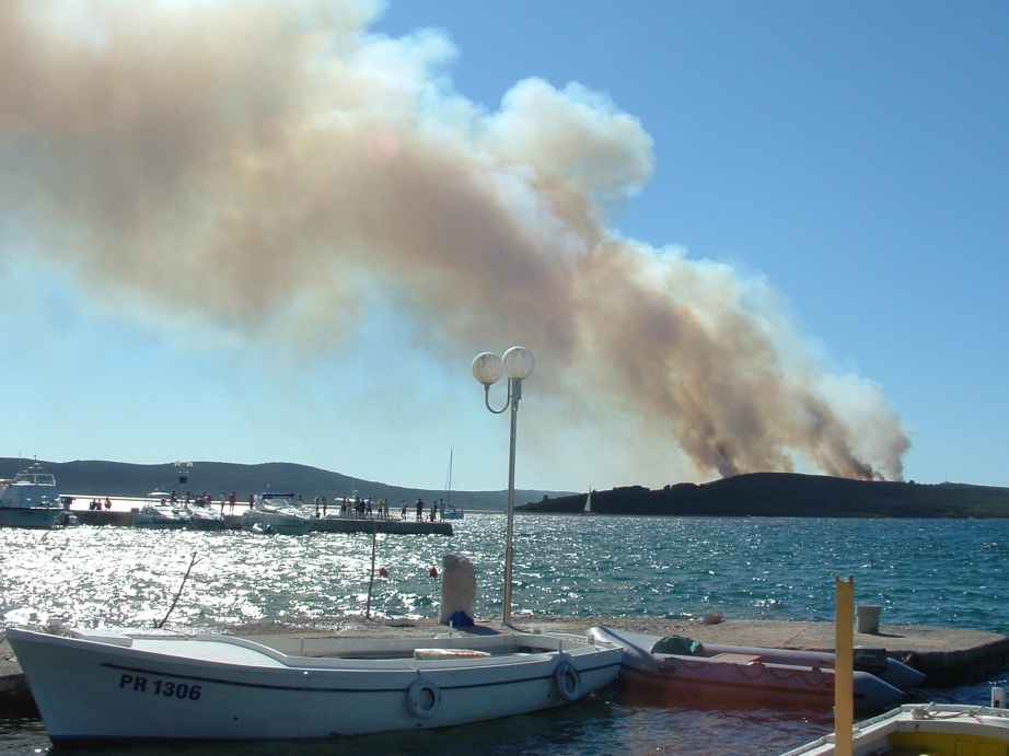 Image 1177191 (auto)