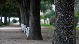 Bura i snijeg u Zadru 1. veljače 2012, Foto: Duje Surać