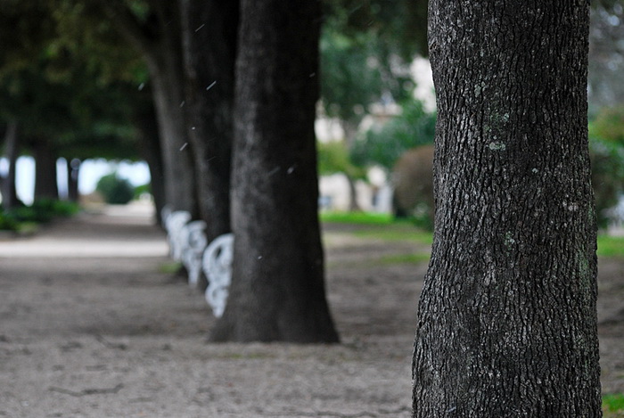 Bura i snijeg u Zadru 1. veljače 2012, Foto: Duje Surać