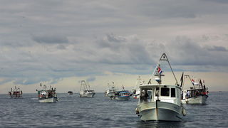 Umag, Savudrija, 071109.
Ribarski konvoj organiziran zbog protivljenja arbitraznom sporazumu sa Slovenijom smatrajuci da bi njegovom primjenom Hrvatska mogla ostati bez dijela svog teritorijalnog mora juznije od crte sredine Savudrijske vale. Prosvjedoval Umag, Savudrija, 071109.
Ribarski konvoj organiziran zbog protivljenja arbitraznom sporazumu sa Slovenijom smatrajuci da bi njegovom primjenom Hrvatska mogla ostati bez dijela svog teritorijalnog mora juznije od crte sredine Savudrijske vale. Prosvjedoval