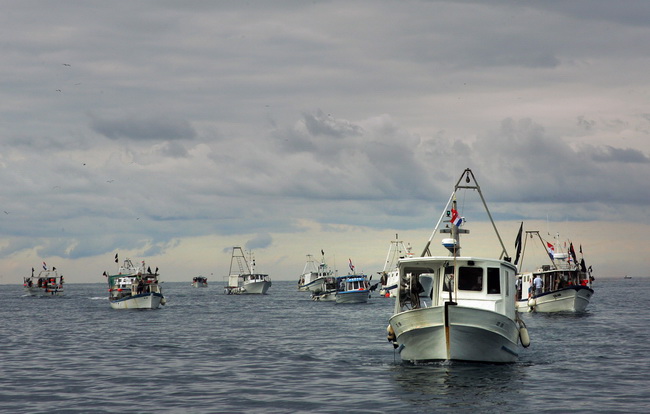 Umag, Savudrija, 071109.
Ribarski konvoj organiziran zbog protivljenja arbitraznom sporazumu sa Slovenijom smatrajuci da bi njegovom primjenom Hrvatska mogla ostati bez dijela svog teritorijalnog mora juznije od crte sredine Savudrijske vale. Prosvjedoval Umag, Savudrija, 071109.
Ribarski konvoj organiziran zbog protivljenja arbitraznom sporazumu sa Slovenijom smatrajuci da bi njegovom primjenom Hrvatska mogla ostati bez dijela svog teritorijalnog mora juznije od crte sredine Savudrijske vale. Prosvjedoval