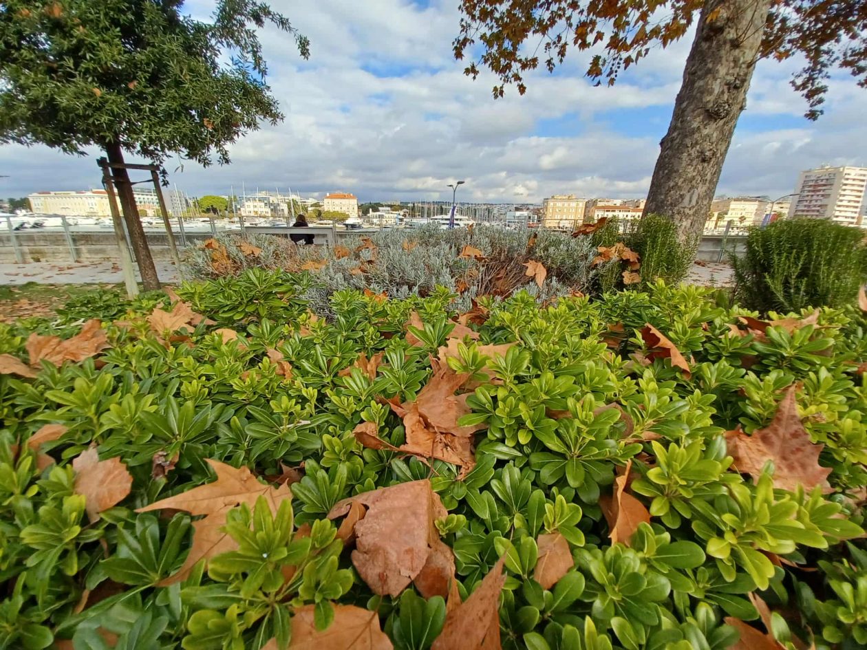 Zadarska šetnica s najlipšim pogledom u jesen je idealna za predah i “punjenje baterija” Zadarska šetnica s najlipšim pogledom u jesen je idealna za predah i “punjenje baterija”
