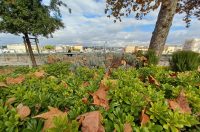 Zadarska šetnica s najlipšim pogledom u jesen je idealna za predah i “punjenje baterija” Zadarska šetnica s najlipšim pogledom u jesen je idealna za predah i “punjenje baterija”