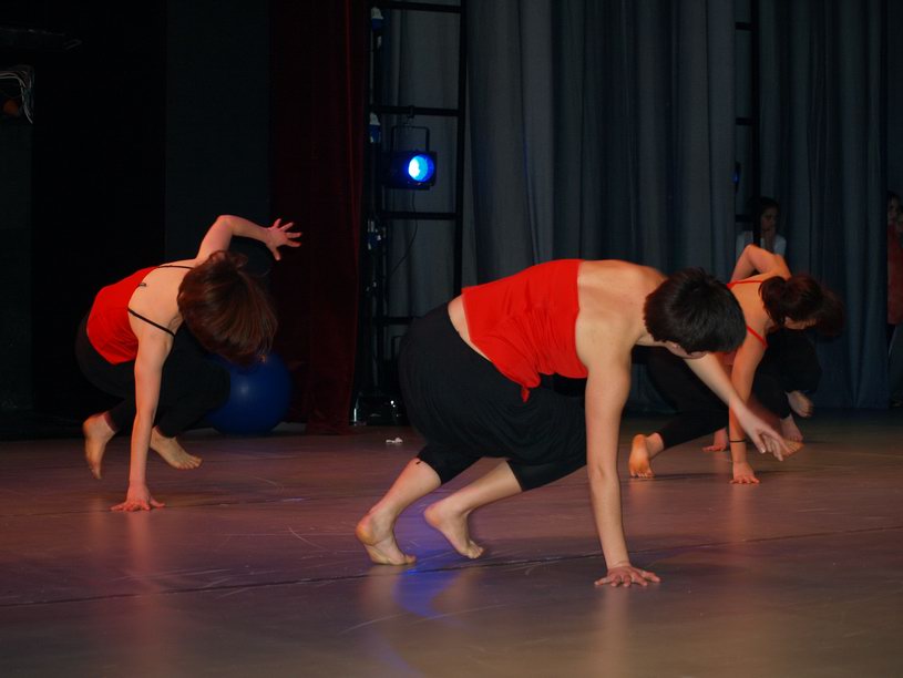 Plesno kazalisna udruga Zalet