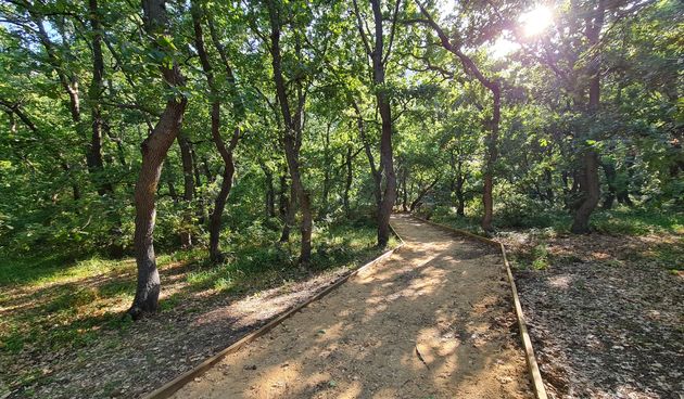 Dovršena poučna staza u šumi Dubrava-Hanzina u Pagu