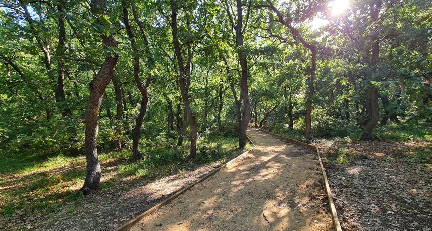 Dovršena poučna staza u šumi Dubrava-Hanzina u Pagu