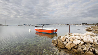 Image 848697 (auto)