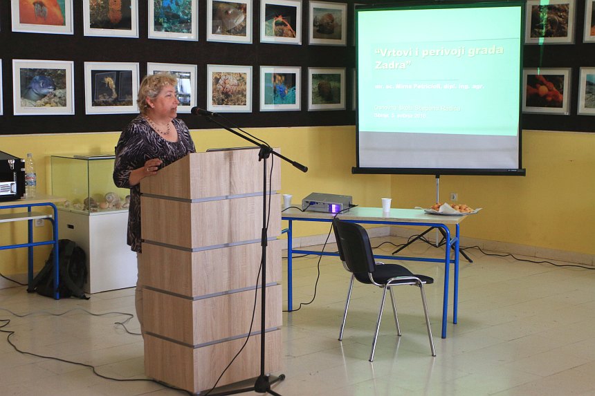 Velika akcija čišćenja podmorja u Bibinjama, foto: L.Banić