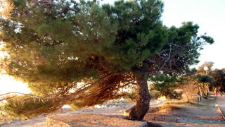 Bonaca na Punta Skali Bonaca na Punta Skali