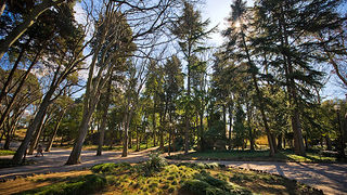 Đir zadarskim parkovima,27. veljače 2012. (foto:Saša Čuka)