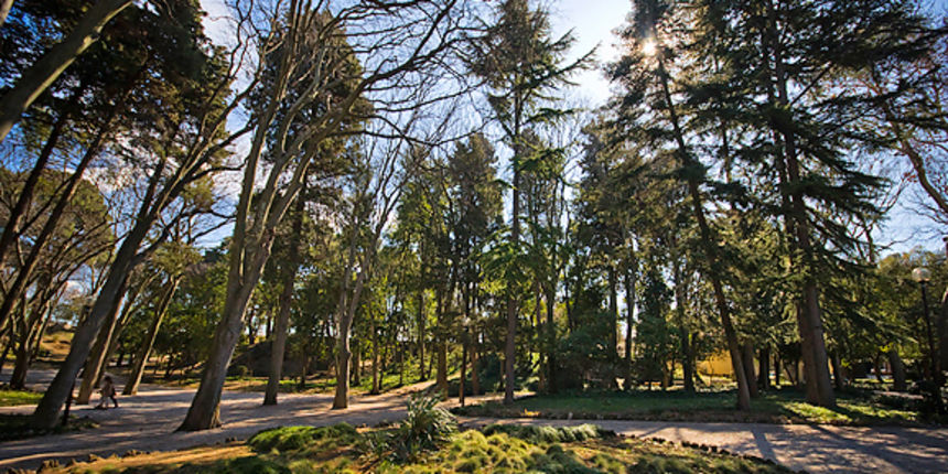 Đir zadarskim parkovima,27. veljače 2012. (foto:Saša Čuka)