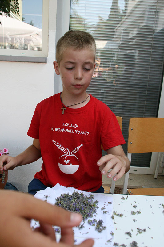 GKZD: Dječja radionica izrade stručaka i jastučića od lavande, Foto: Lucija Juravić