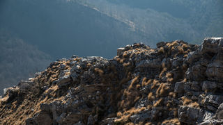 Od Velikog Rujna, preko Rujanske kose do Višerujna…