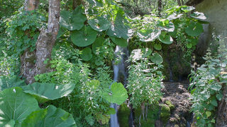 Izlet na Vrelo Une, foto: Darko Belančić