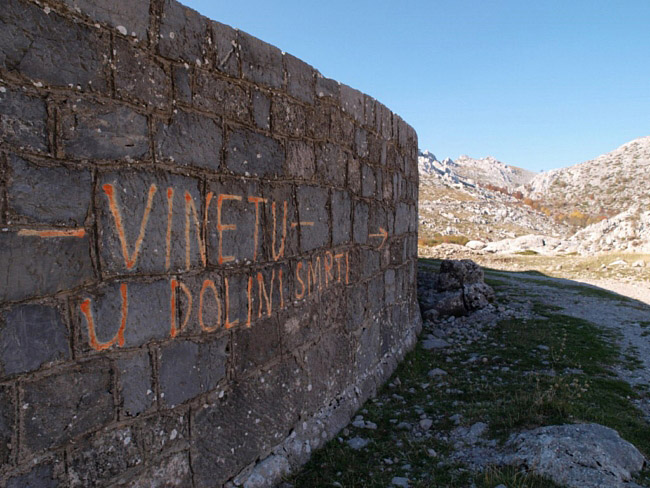 OLYMPUS DIGITAL CAMERA OLYMPUS DIGITAL CAMERA