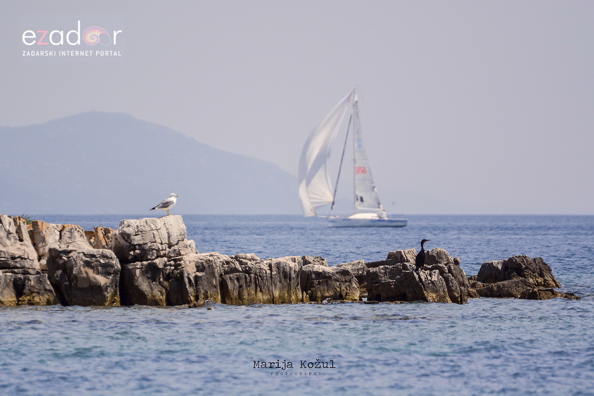 Zadar Outdoor Festival: Jedriličarska regata