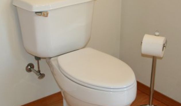 WC školjka (Foto: betterlifestylesinc.com)