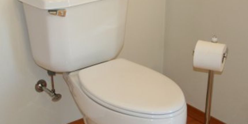 WC školjka (Foto: betterlifestylesinc.com)