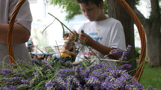 Danas je održana kreativna radionica za velike i male u organizaciji Dječjeg odjela Gradske knjižnice Zadar: izrada stručaka i jastučića od lavande od 10-12 h. Radionicu je vodila gospođa Jadranka Plantak. Foto by Lucija Juravic Danas je održana kreativna radionica za velike i male u organizaciji Dječjeg odjela Gradske knjižnice Zadar: izrada stručaka i jastučića od lavande od 10-12 h. Radionicu je vodila gospođa Jadranka Plantak. Foto by Lucija Juravic