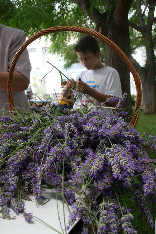 Danas je održana kreativna radionica za velike i male u organizaciji Dječjeg odjela Gradske knjižnice Zadar: izrada stručaka i jastučića od lavande od 10-12 h. Radionicu je vodila gospođa Jadranka Plantak. Foto by Lucija Juravic Danas je održana kreativna radionica za velike i male u organizaciji Dječjeg odjela Gradske knjižnice Zadar: izrada stručaka i jastučića od lavande od 10-12 h. Radionicu je vodila gospođa Jadranka Plantak. Foto by Lucija Juravic