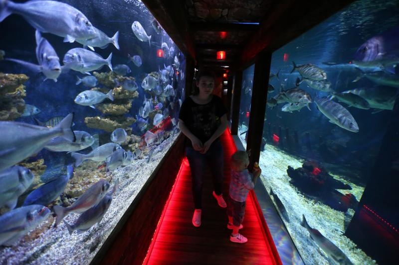 Vranjicki Aquapark godinu dana nakon otvorenja zadivljuje posjetitelje kao i prvog dana. U velicanstvenim pojavama iz morskog svijeta najvise ipak uzivaju djeca. Photo: Ivo Cagalj/PIXSELL Vranjicki Aquapark godinu dana nakon otvorenja zadivljuje posjetitelje kao i prvog dana. U velicanstvenim pojavama iz morskog svijeta najvise ipak uzivaju djeca. Photo: Ivo Cagalj/PIXSELL