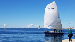 Zadarska Koka 2016. 22. listopada 2016. Foto: Mladen Malik Zadarska Koka 2016. 22. listopada 2016. Foto: Mladen Malik